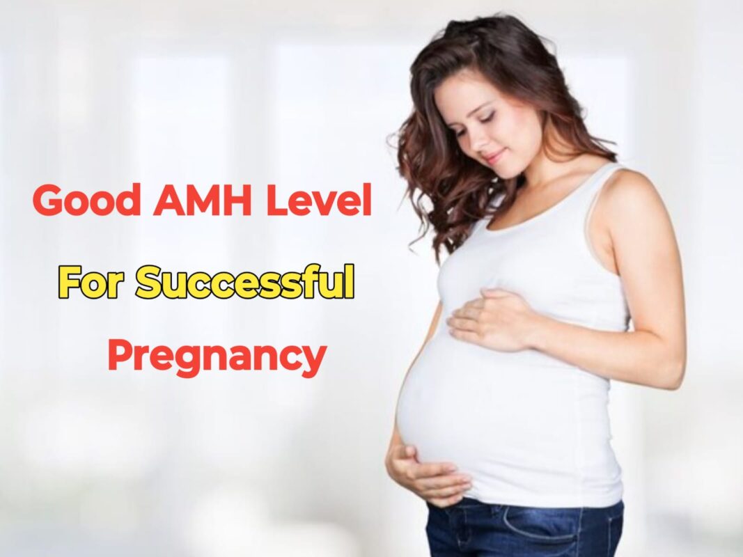 Optimal AMH Levels for IVF Success